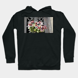 Paris Pere LaChaise Floral Display Hoodie